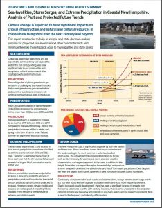 Science and Technical Advisory Report_ 2 page summary
