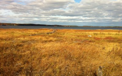 First National Living Shorelines Conference