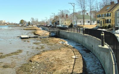 The Story of the Marsh that Moved