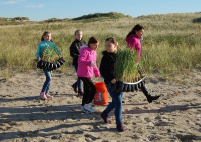 Hampton-Seabrook Estuary Sand Dune Restoration, Phase I