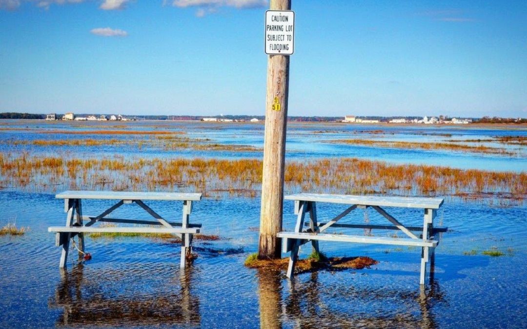 Communicating Flood Risk with the FEMA High Water Mark Initiative