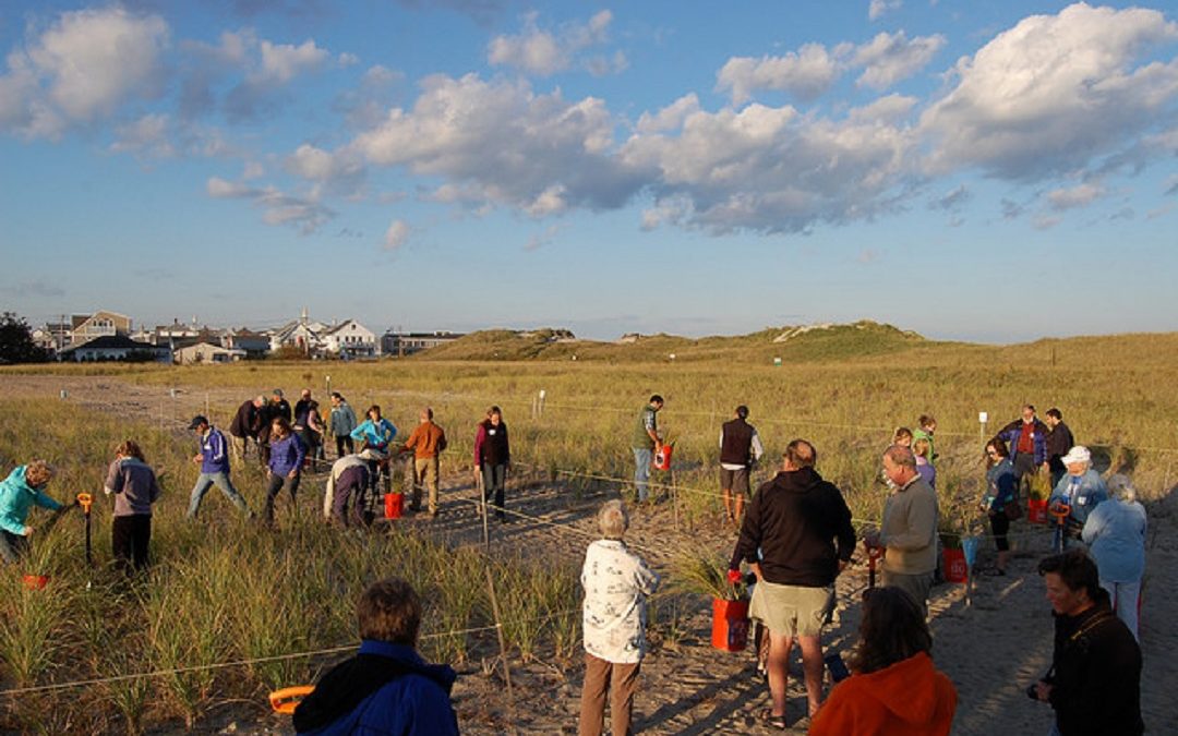 Building Capacity for Resilience of Human and Natural Communities in New Hampshire Dune Systems: Phase II