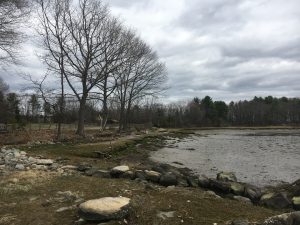 Wagon Hill Farm, Durham NH