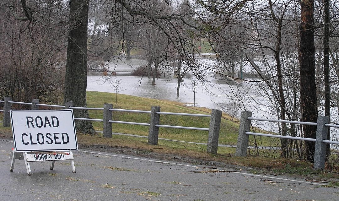 Incentivizing Resiliency through Implementation Plans in Exeter