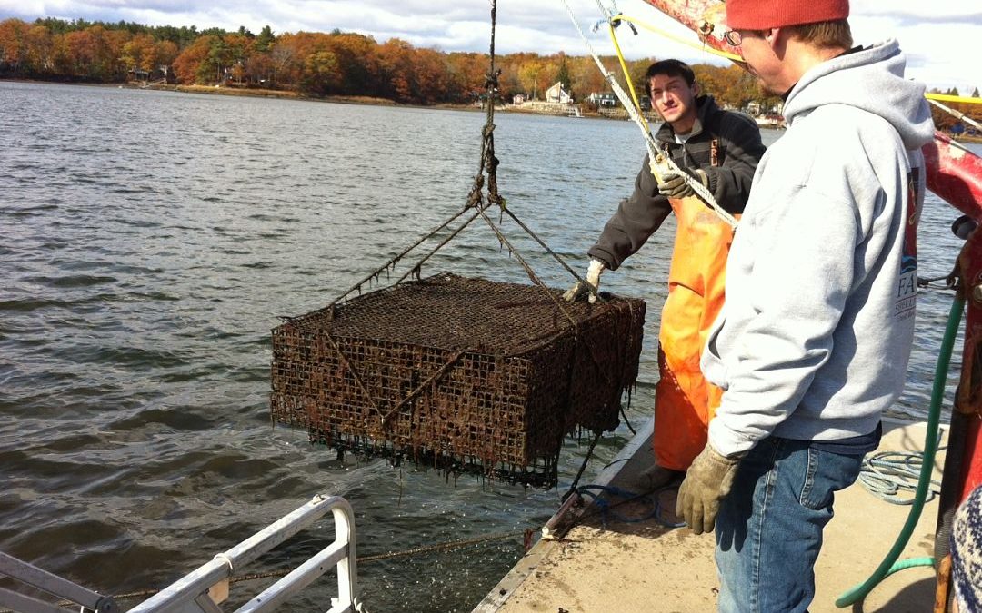 New Hampshire Great Bay Estuary Ecosystem Services Assessment