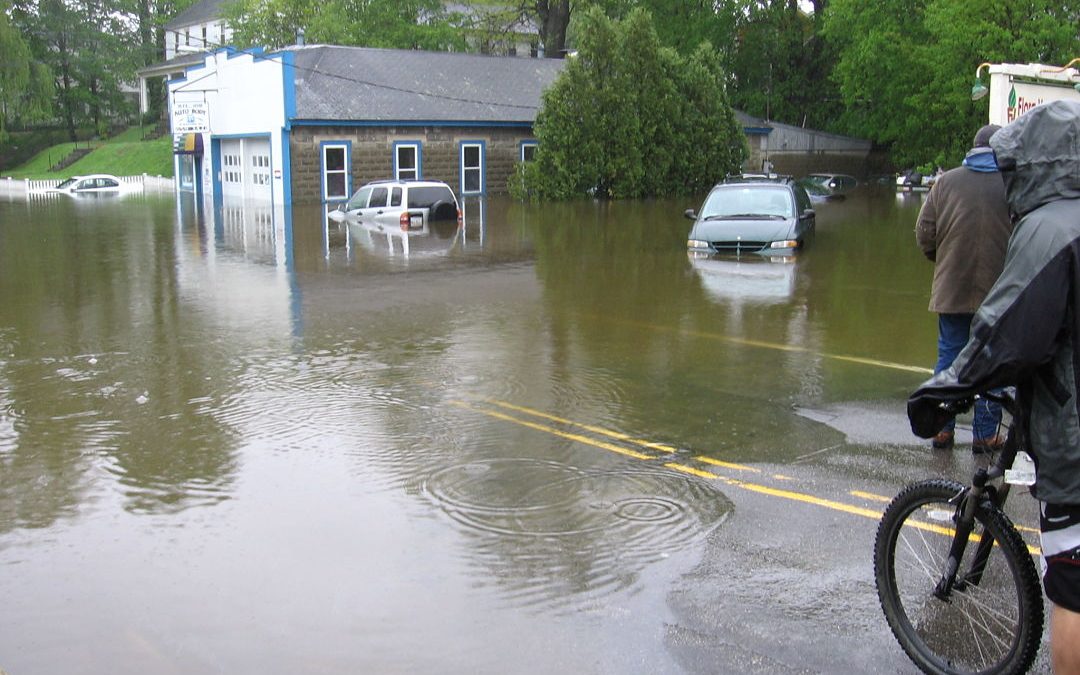 Building Resilience to Flooding and Climate Change in the Moonlight Brook Watershed of Newmarket