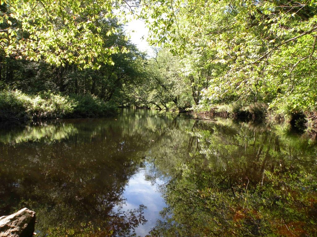 Grants Available for Land Conservation Transaction Costs New