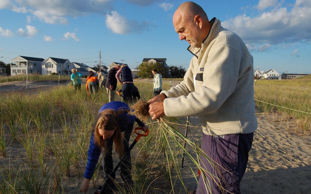 Hampton-Seabrook Estuary Sand Dune Social Network Analysis