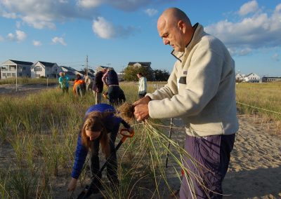 Hampton-Seabrook Estuary Sand Dune Social Network Analysis