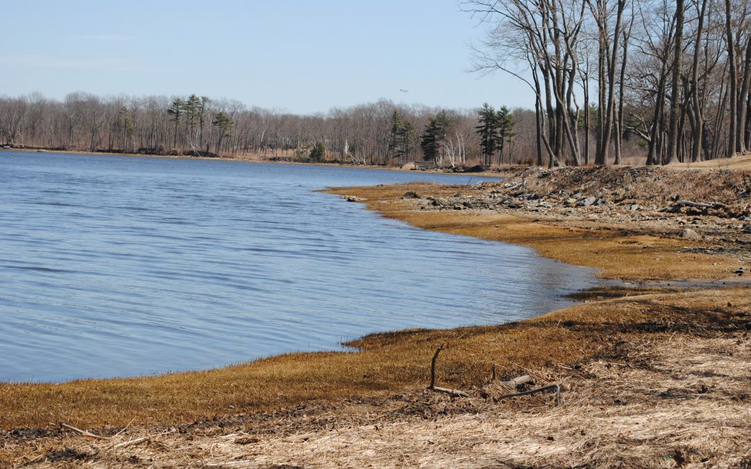 The NH Smart Shoreline Project: A living shoreline site suitability assessment