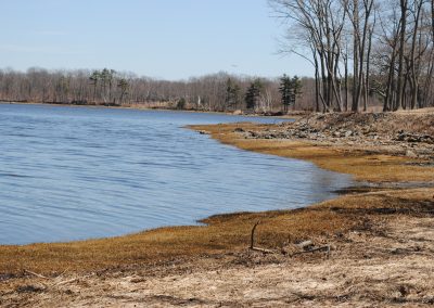 The NH Smart Shoreline Project: A living shoreline site suitability assessment