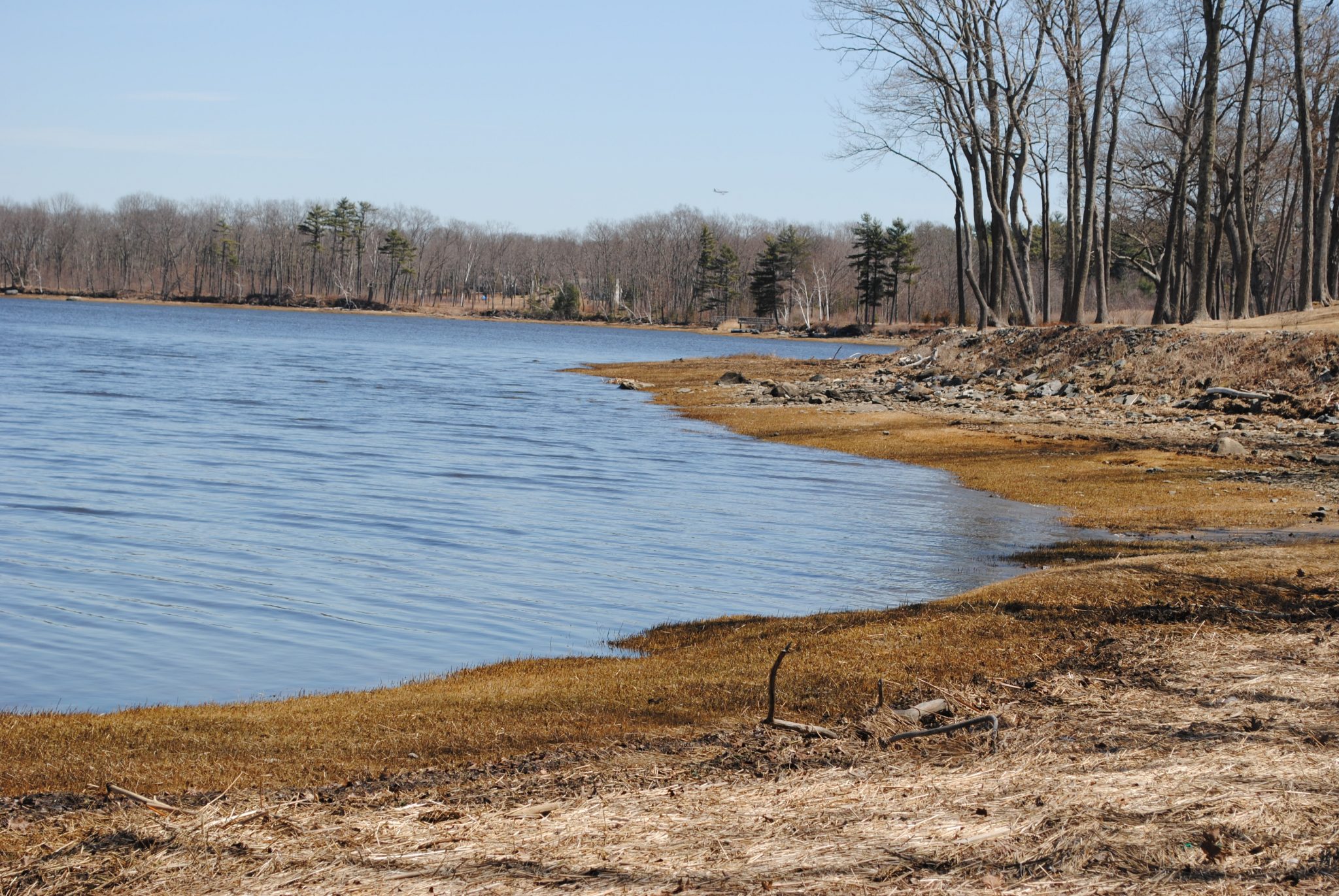 Natural tidal shorelines provide many benefits