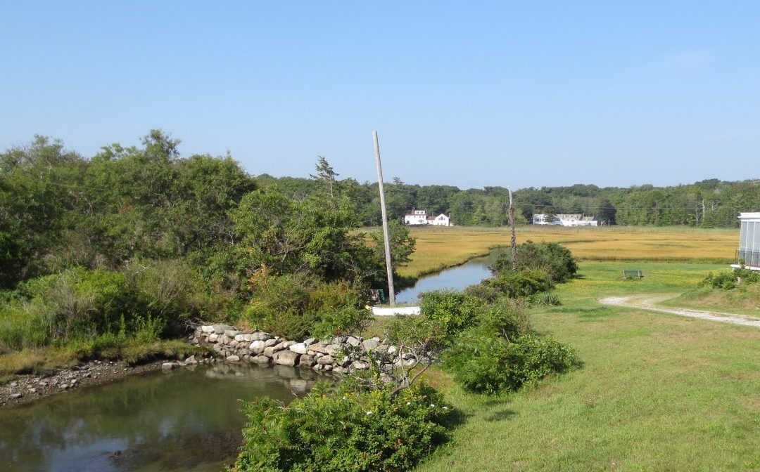 Tides to Storms 2 – North Hampton Vegetative Buffer Ordinance and Coordination