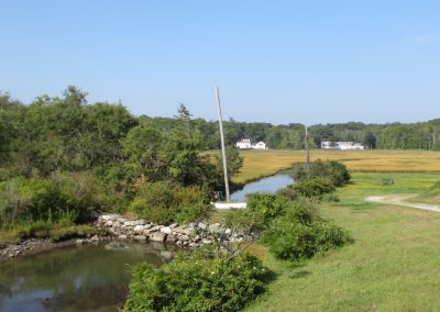 Tides to Storms 2 – North Hampton Vegetative Buffer Ordinance and Coordination