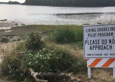 Wagon Hill Farm Living Shoreline Phase II