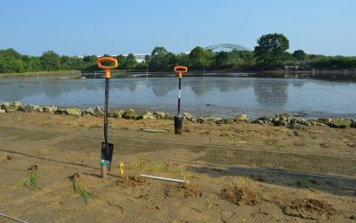 Workshop: Engineering Living Shorelines in New Hampshire