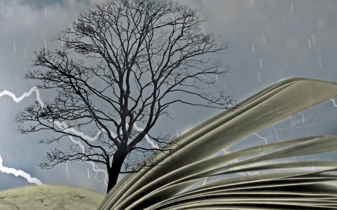 Film Screening | An Inconvenient Sequel: Truth To Power