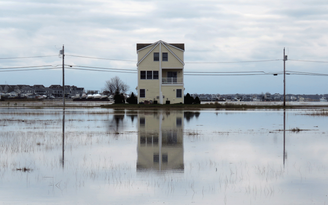 Building a Flood Smart Seacoast: Summer Workshops