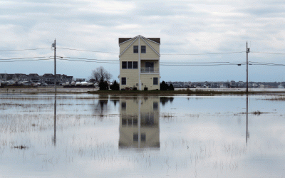 Social Media Reaches Wider King Tide Audience