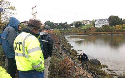 In My View: Living Shorelines