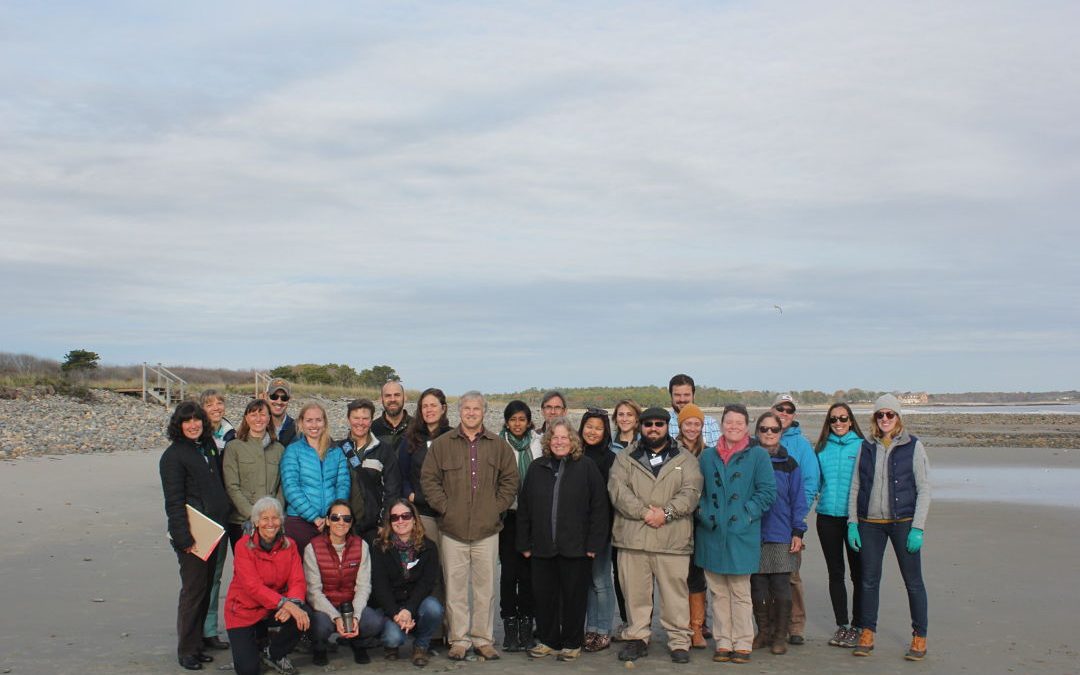 When Climate Adaptation Networks Collide