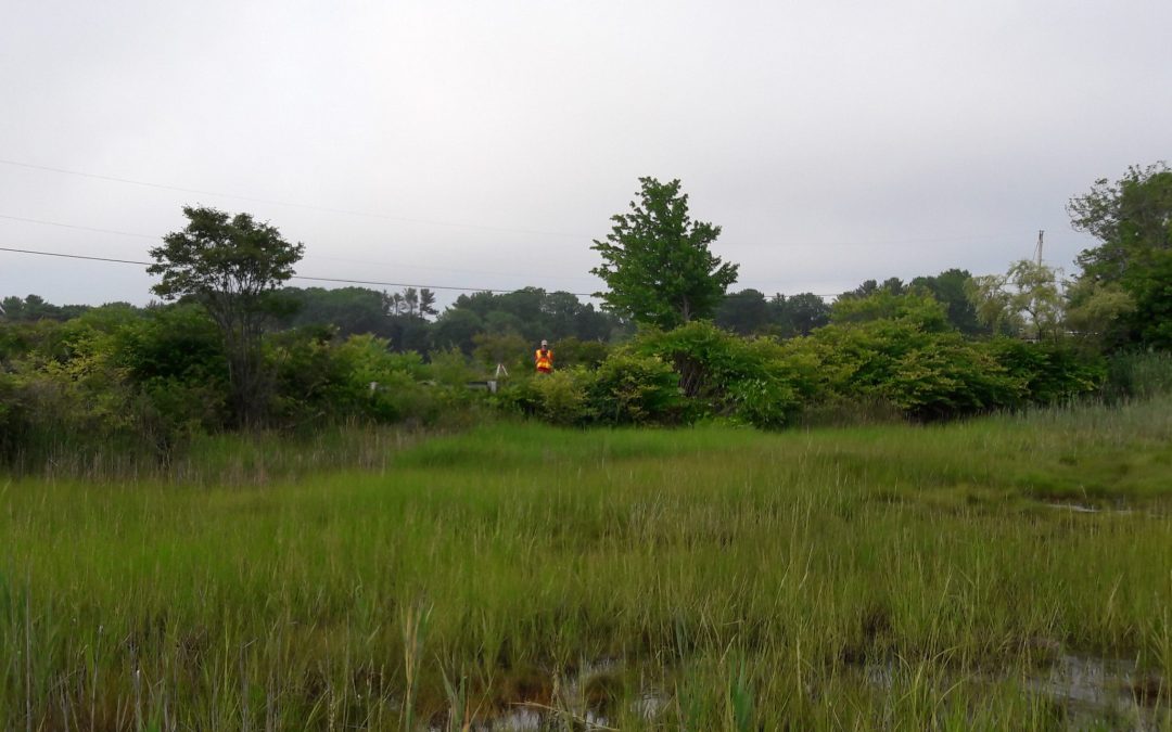 Resilient Tidal Crossings Project