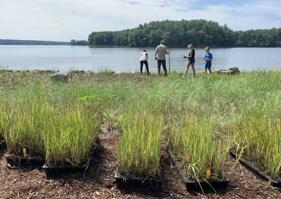 Wagon Hill Farm Living Shoreline Phase III