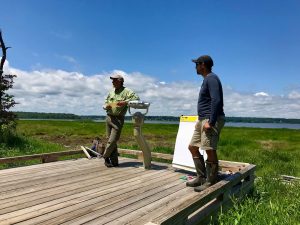 David Burdick (UNH) and Chris Peter (UNH) discuss marsh migration