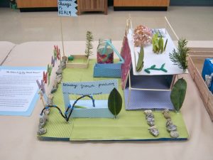 Resilient and sustainable buildings, Climate in the Classroom - Sunapee 6th grade, 2020