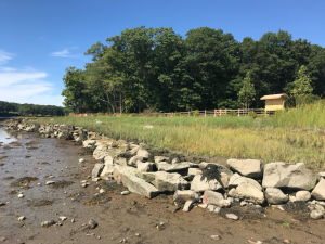 Living shoreline project in Durham, NH, at Wagon Hill Farm