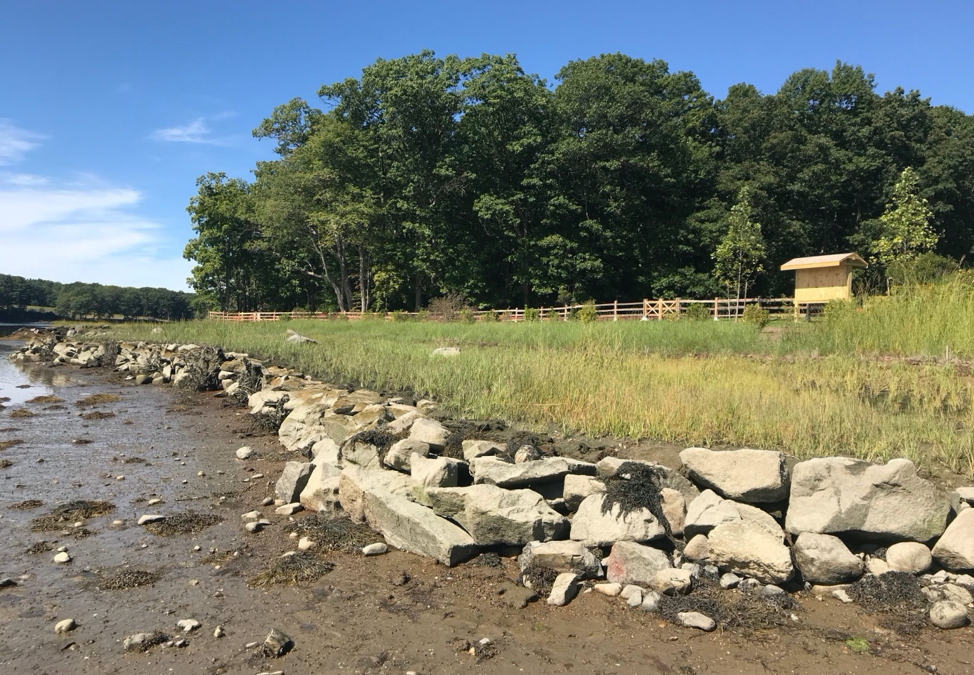 Living shoreline project creates a more resilient Wagon Hill Farm