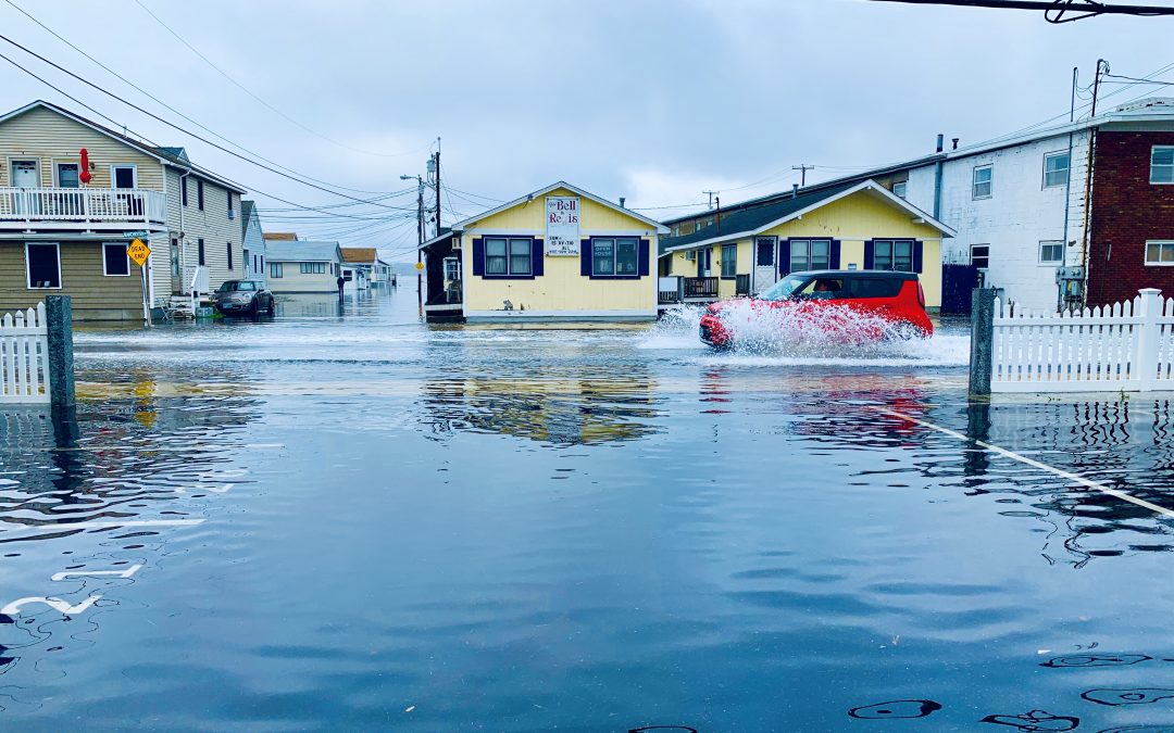2020 King Tide Contest