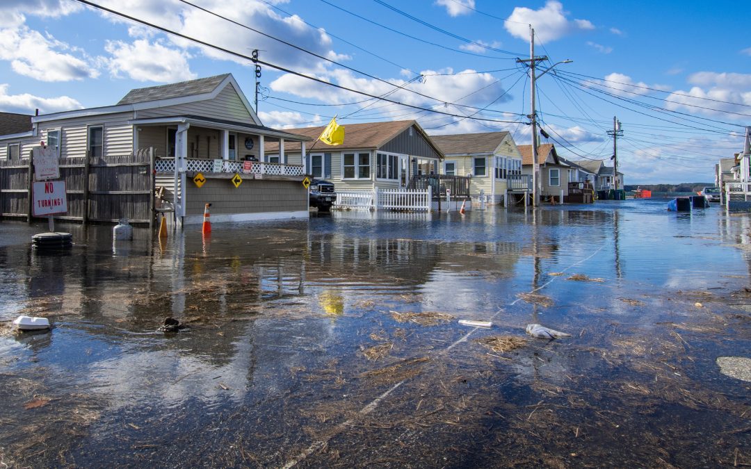 2020 King Tide Contest Winners