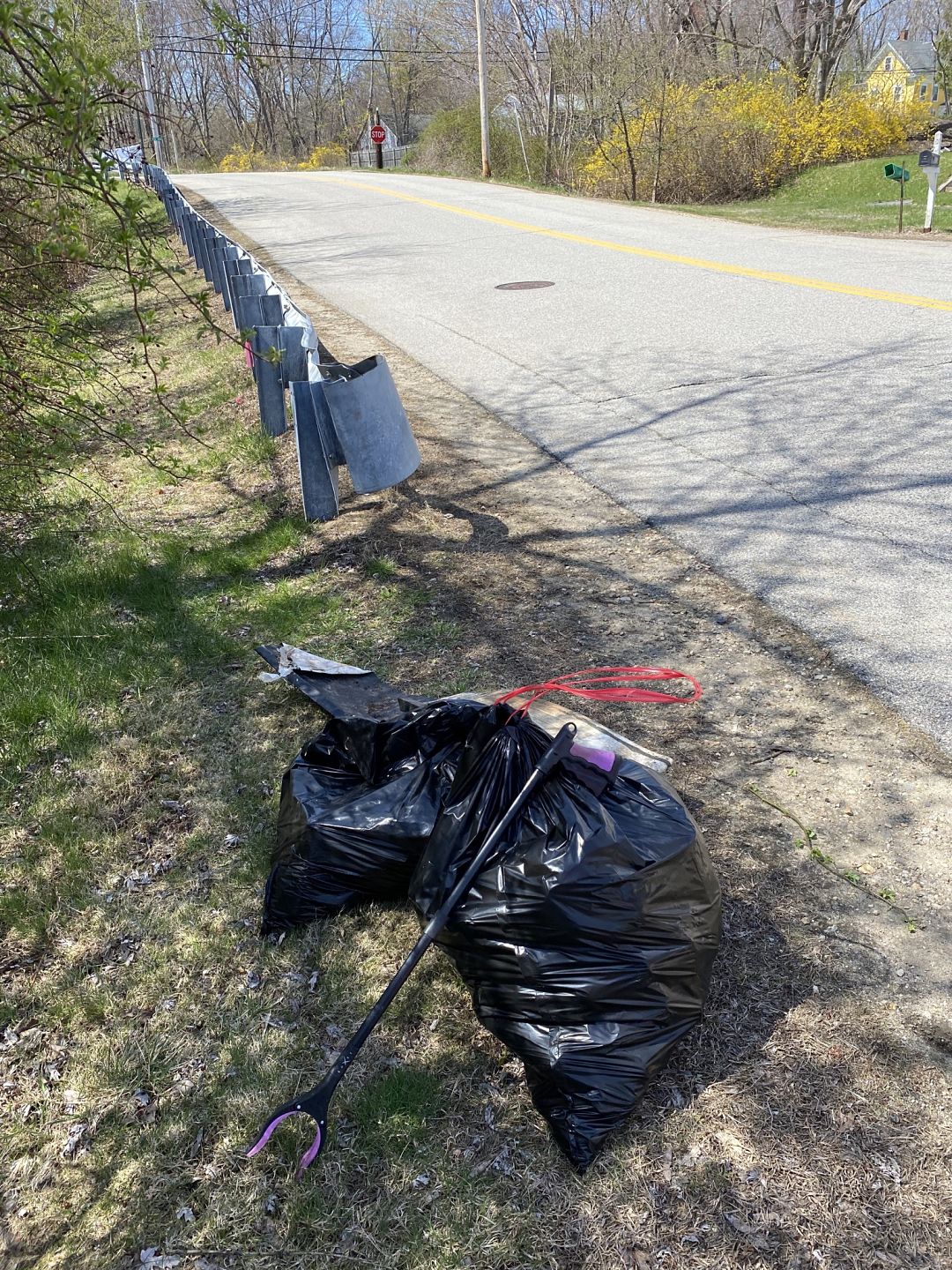 EarthDay_2021_LWise_cleanup_opt