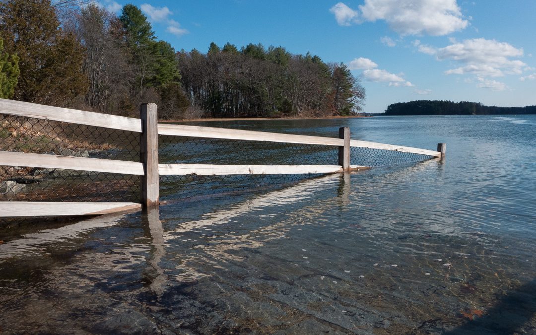 The Half-Written Play – By UNH PowerPlay