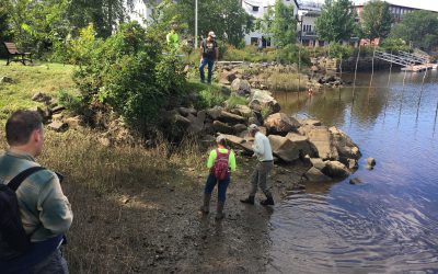 Workshop: Designing Living Shorelines for Great Bay