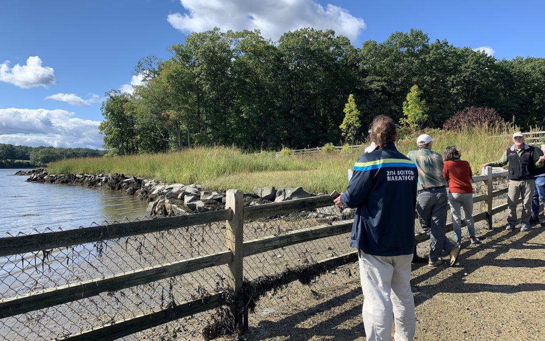 Great Bay living shoreline project