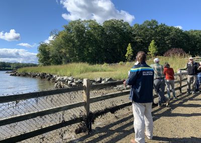 Great Bay living shoreline project