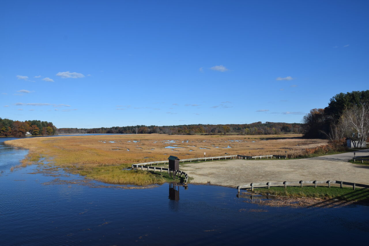 Great Bay Living Shorelines Chapman’s Landing New Hampshire Coastal