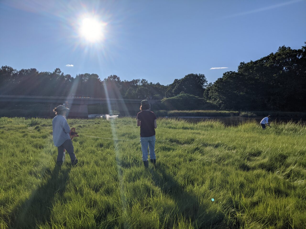 Great Bay Living Shorelines Chapman’s Landing New Hampshire Coastal