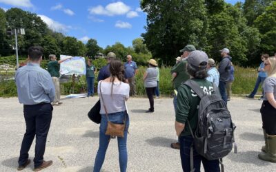 What makes a shoreline resilient? Creative strategies for Great Bay