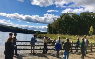 Designing Living Shorelines for Great Bay