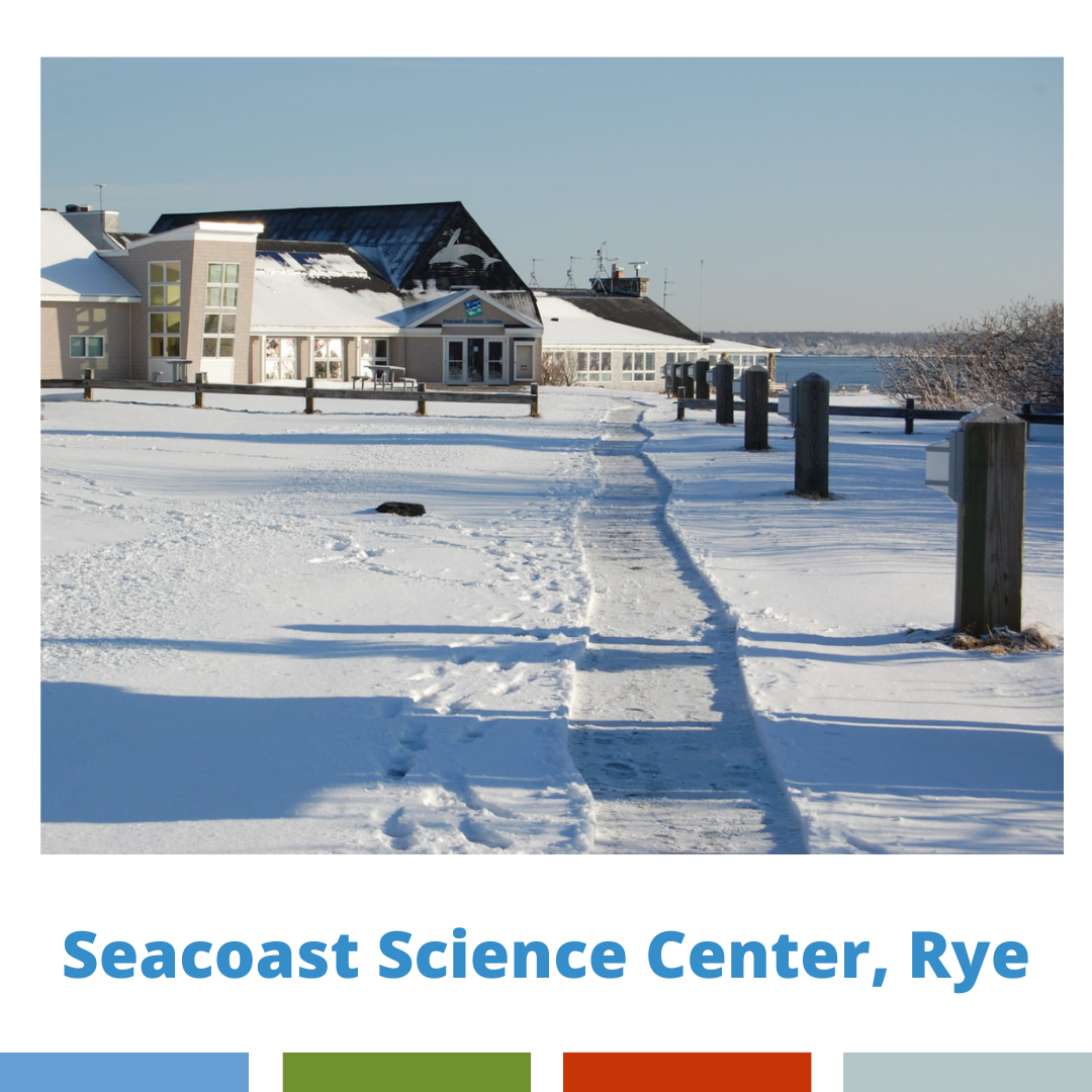 Seacoast Science Center on a snowy day