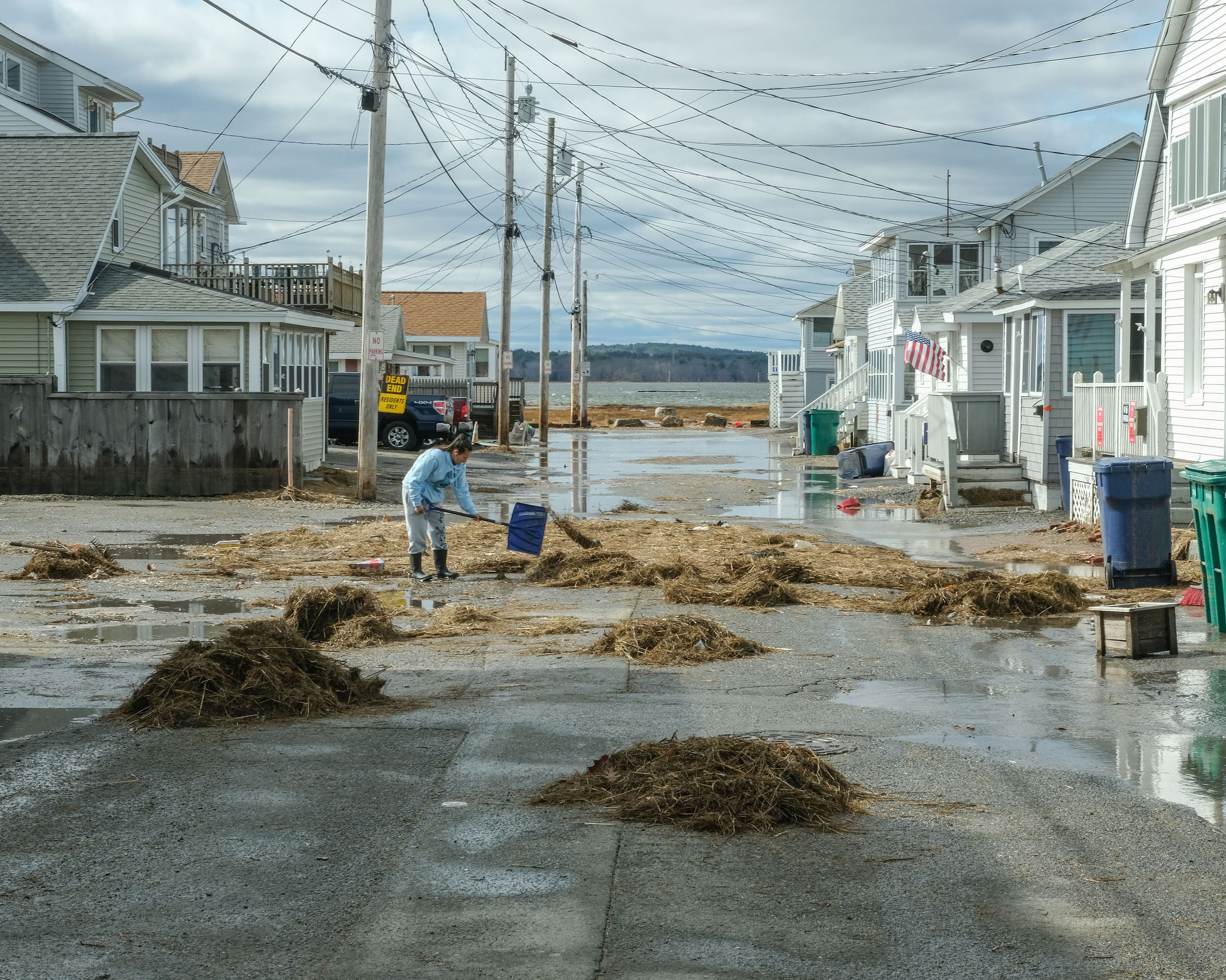 A woman stands in the middle of the residential street with a shovel moving salt marsh grass. At the end of the road there is some ponding of flood water. 
