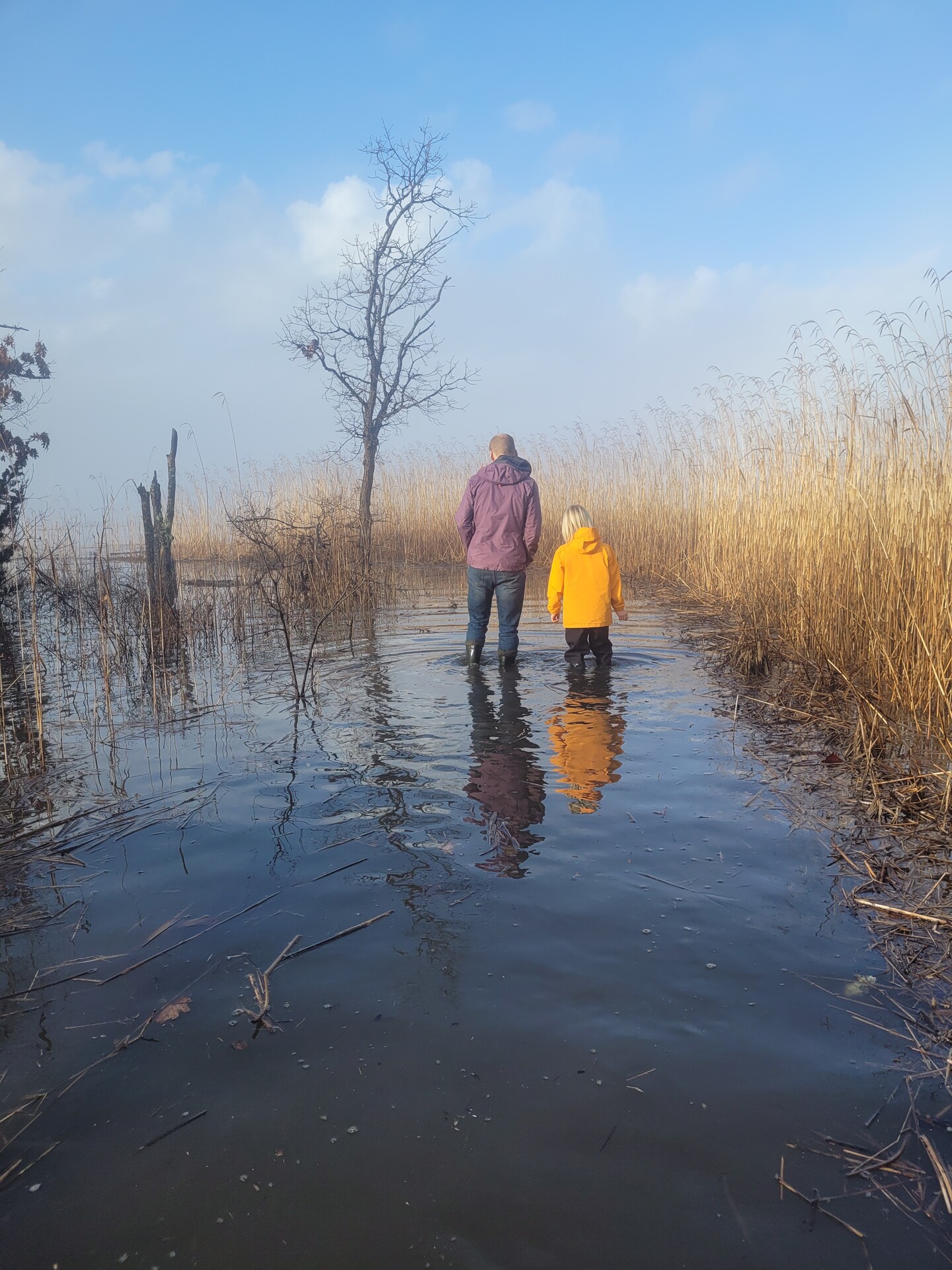 An adult and a child walk with rain jackets and boots on a flooded boardwalk, surrounded by trees and marsh grass.