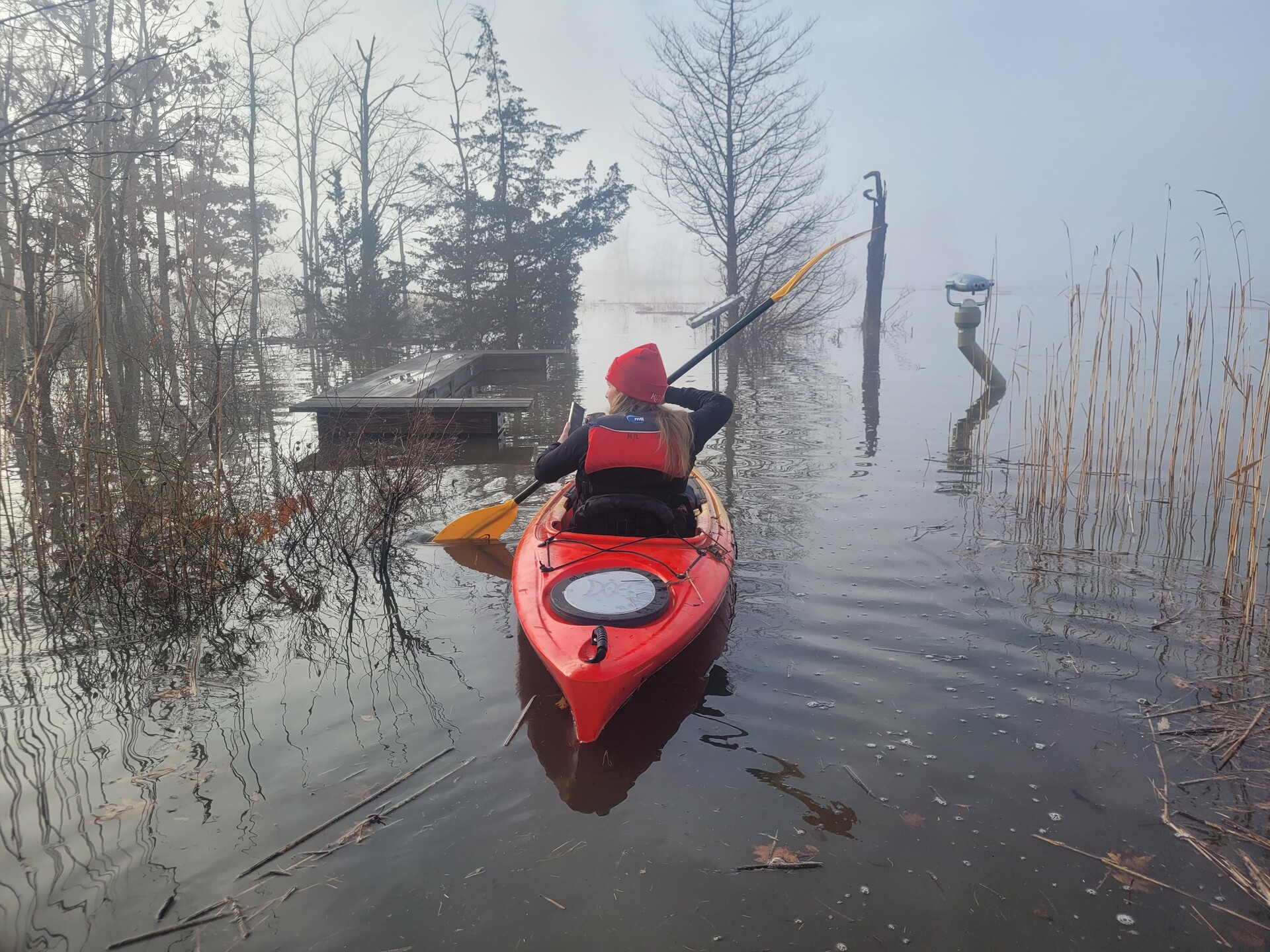 A woman paddles in a red kayak on a foggy day. 