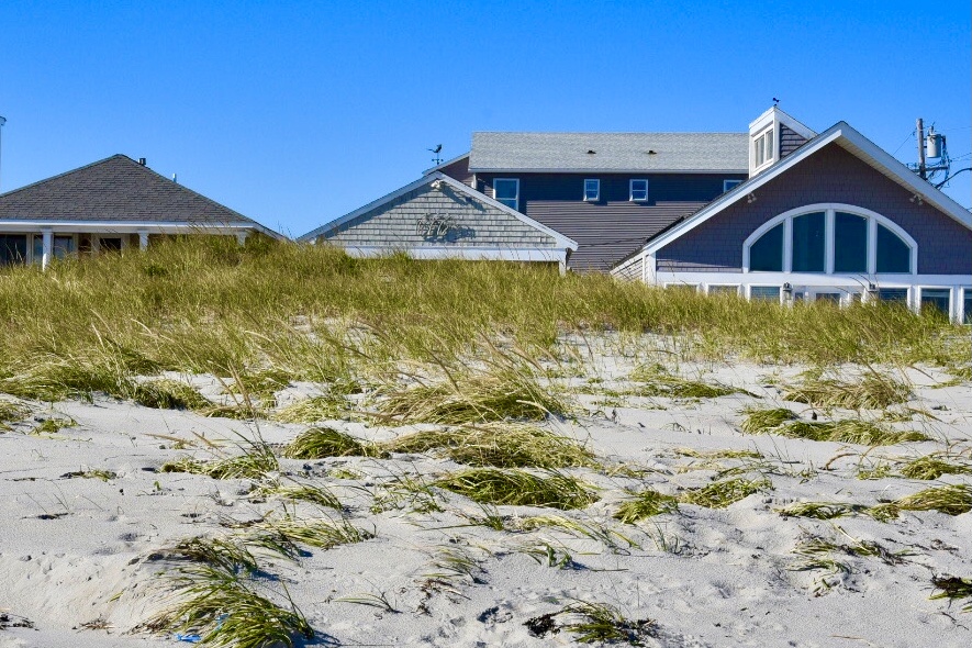 CAW NEWSLETTER: Summer 2024