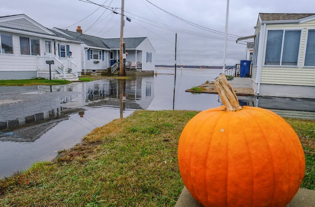 CAW NEWSLETTER: Fall 2024