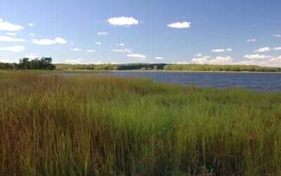 2025 Picturing Rising Tides