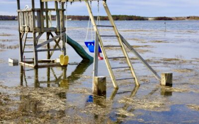 Rising Tides and Resilient Shorelines